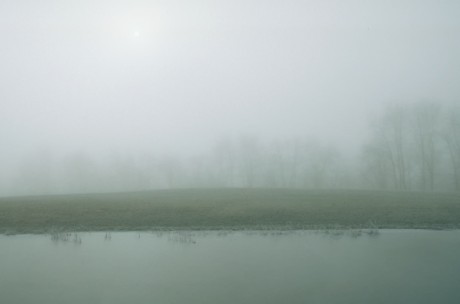 FrostSeriesImages021